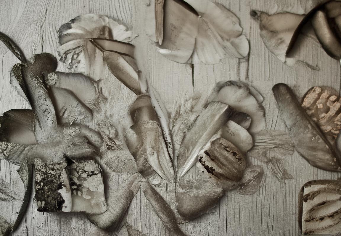 不设防”标题噱头下的现实落差：从期待“高手过招”到围观“菜鸡互啄